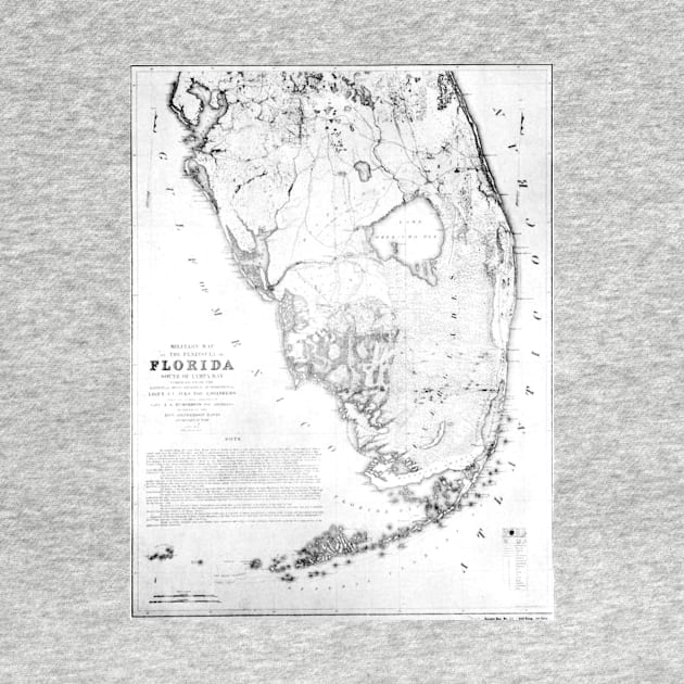 Vintage Map of Southern Florida (1856) by Bravuramedia